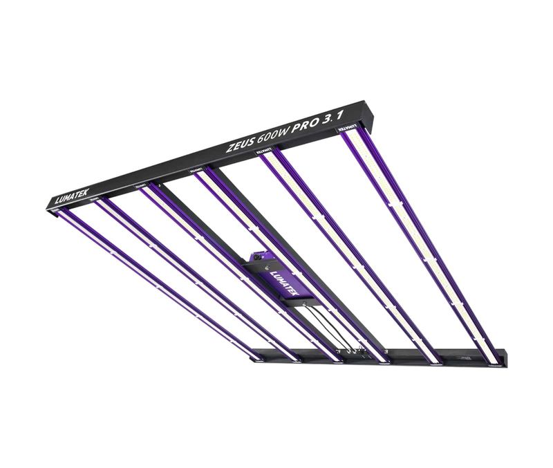 ZEUS 600W PRO 3.1 | LUMATEK