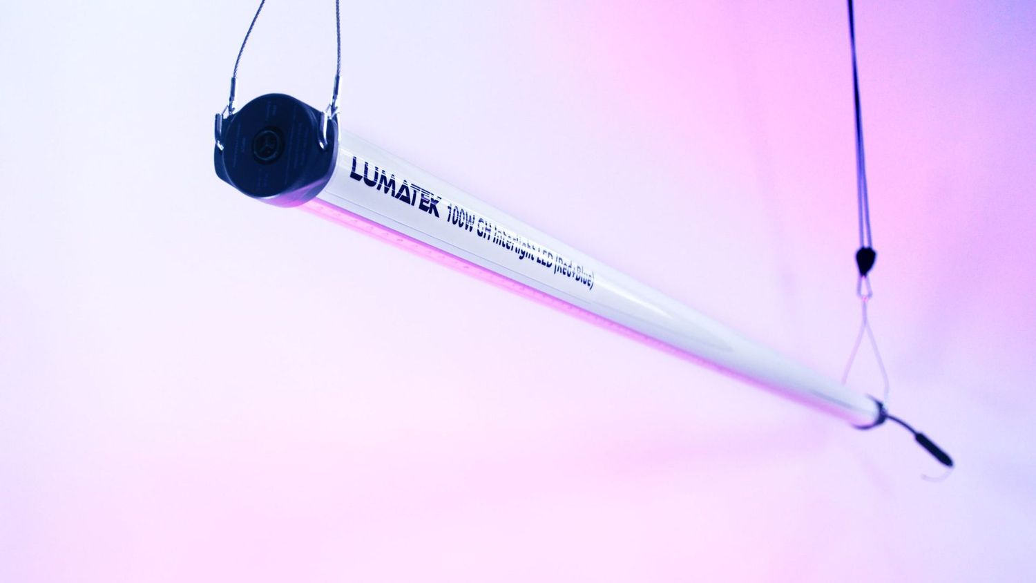 100 W GH Interlight LED (Rot + Blau) | LUMATEK