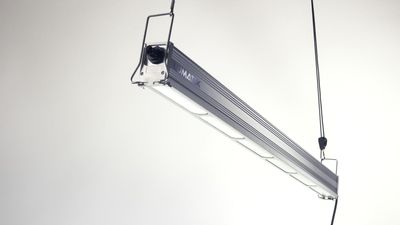 300 W GH TOP LIGHT LED  (Rot + Blau) | LUMATEK