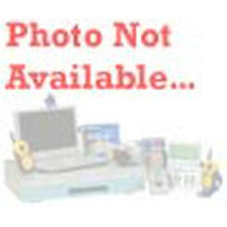 Scream Plus Size Costume