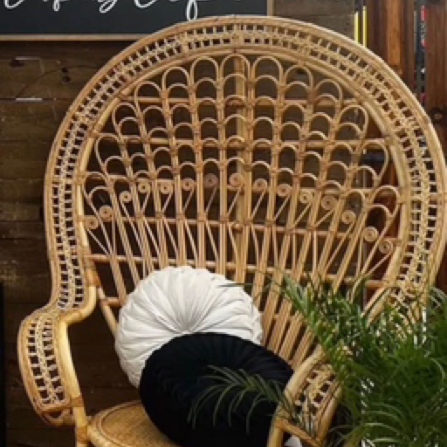 Wicker Peacock Chair 
