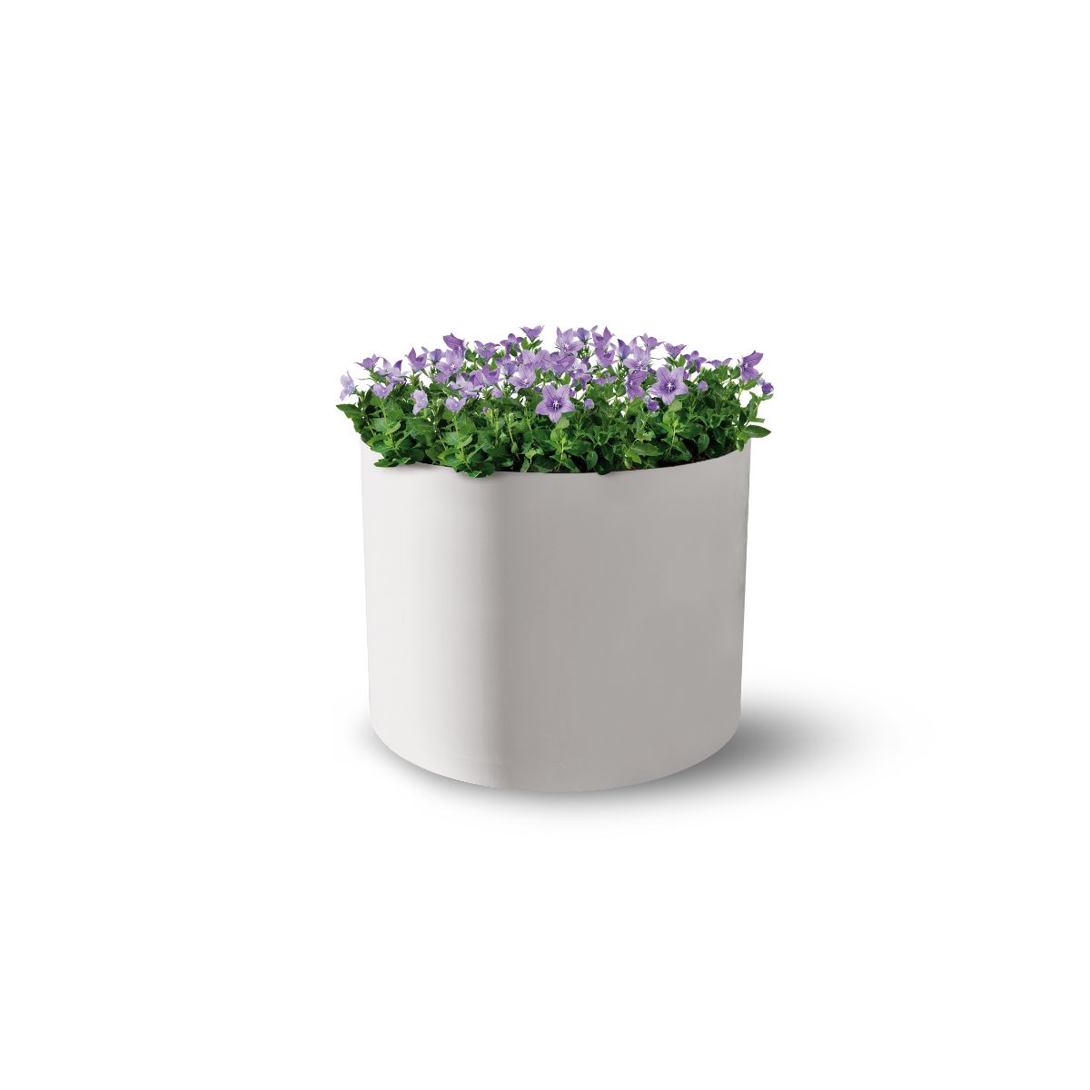 Cylinder