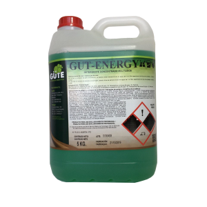 GUT-ENERGY