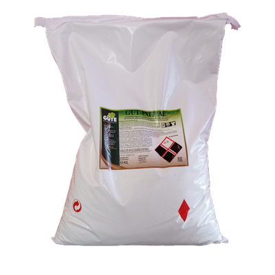GUT-INITIAL 10KG