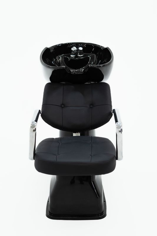 Shampoo Bowl and Backwash Chair
