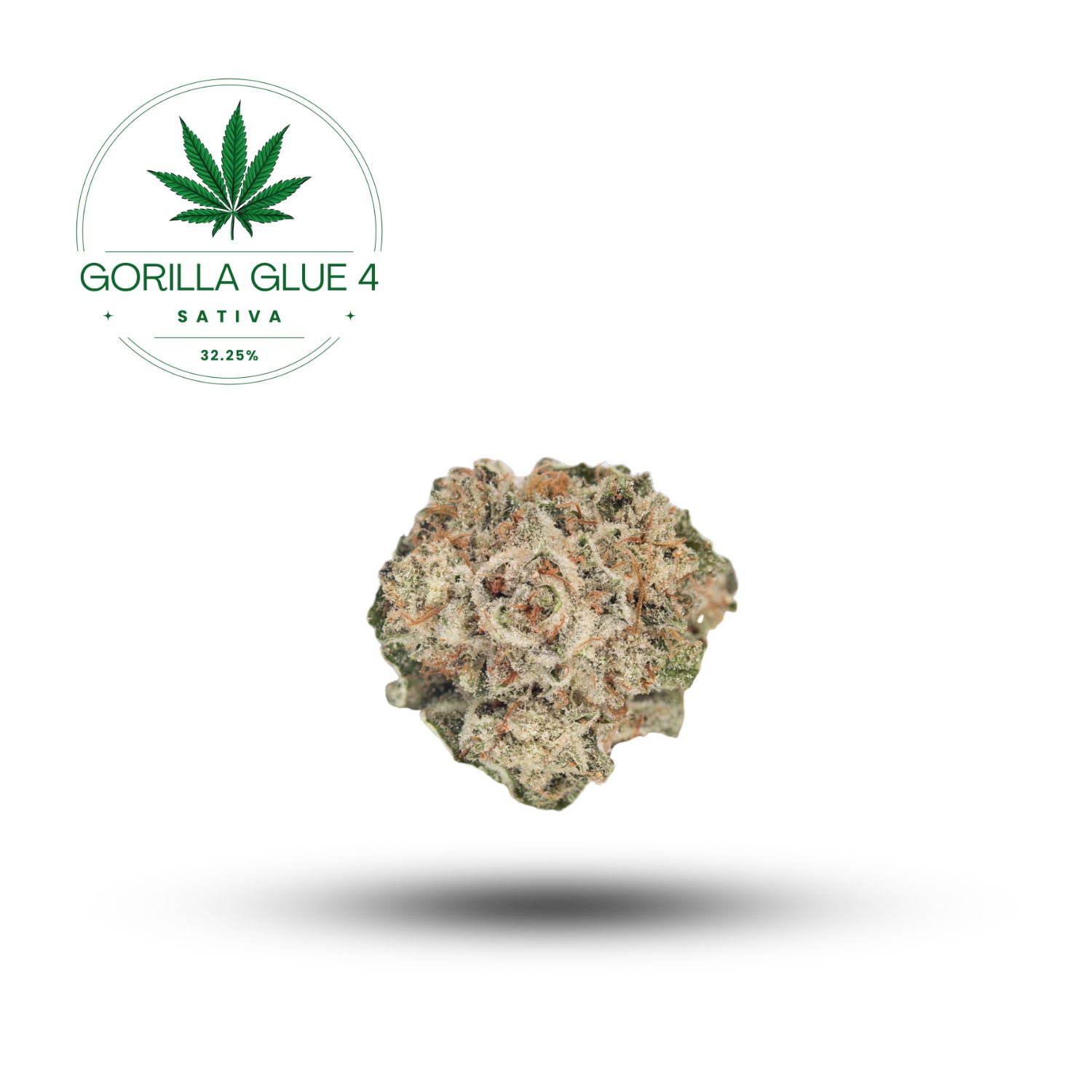 GORILLA GLUE #4- SATIVA 32.25%