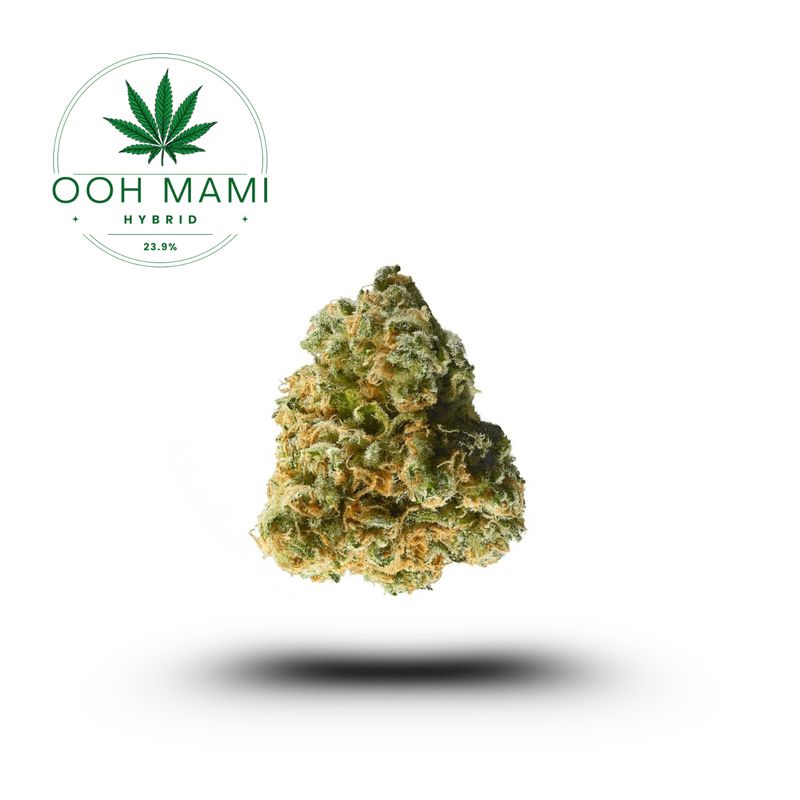 OOH MAMI