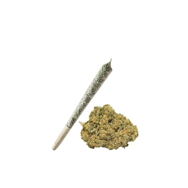 PAPAYA CREAM PREROLL 1G 30.2% INDICA