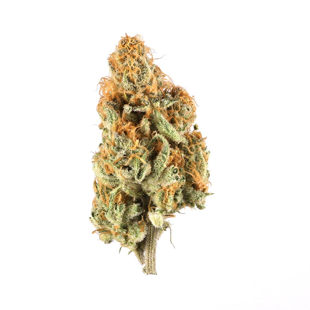 BANANA CREAM CAKE FLOWER- INDICA 28.79%
