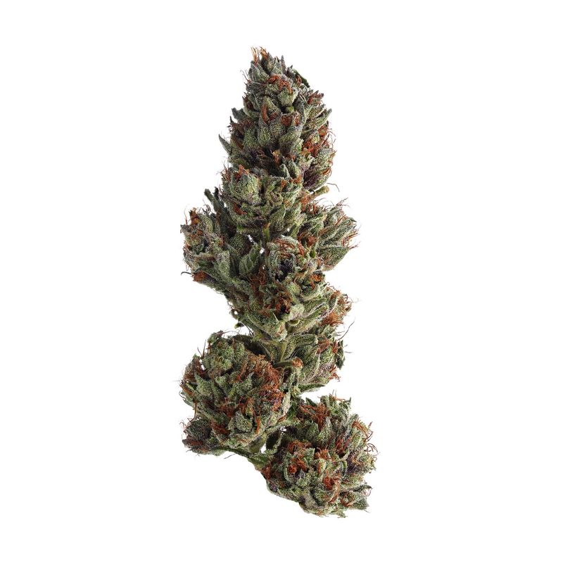 RUNTZ FLOWER- SATIVA 29.86%