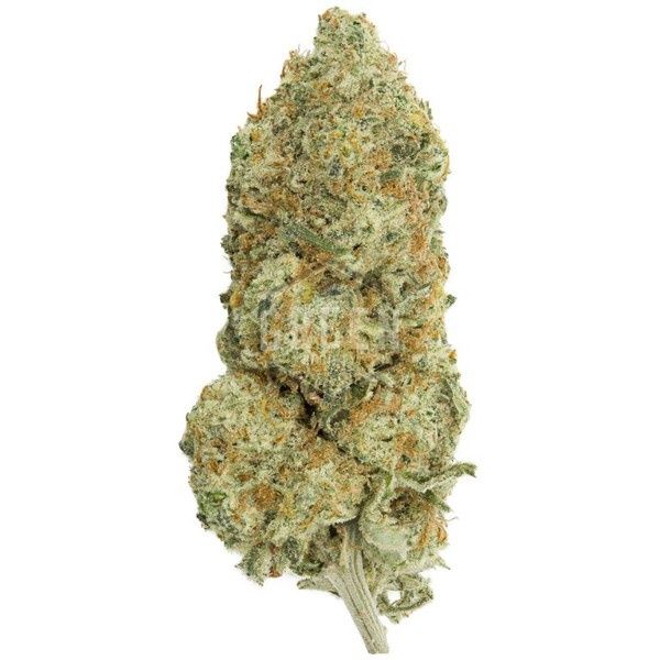KOSHER KUSH FLOWER- INDICA 28.73%
