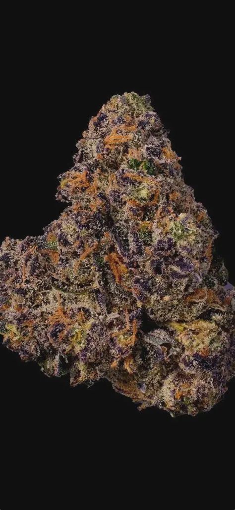 PERMANENT MARKER FLOWER- INDICA 25.27%