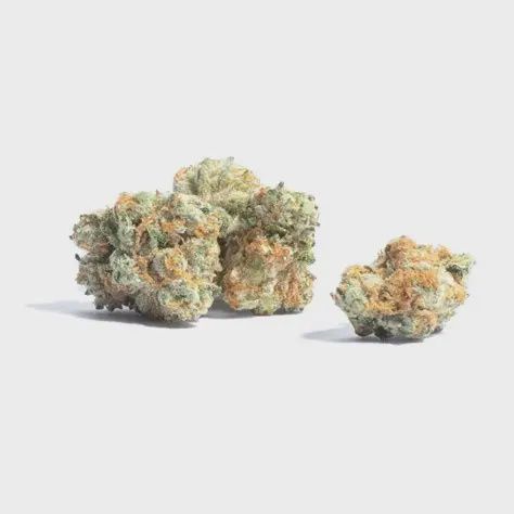 GOLDEN TICKET FLOWER- SATIVA 26.47