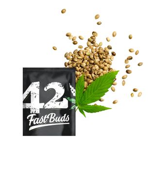 AUTOFLOWERING SEEDS
