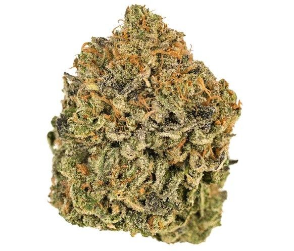 WEDDING CAKE FLOWER INDICA 25.43%