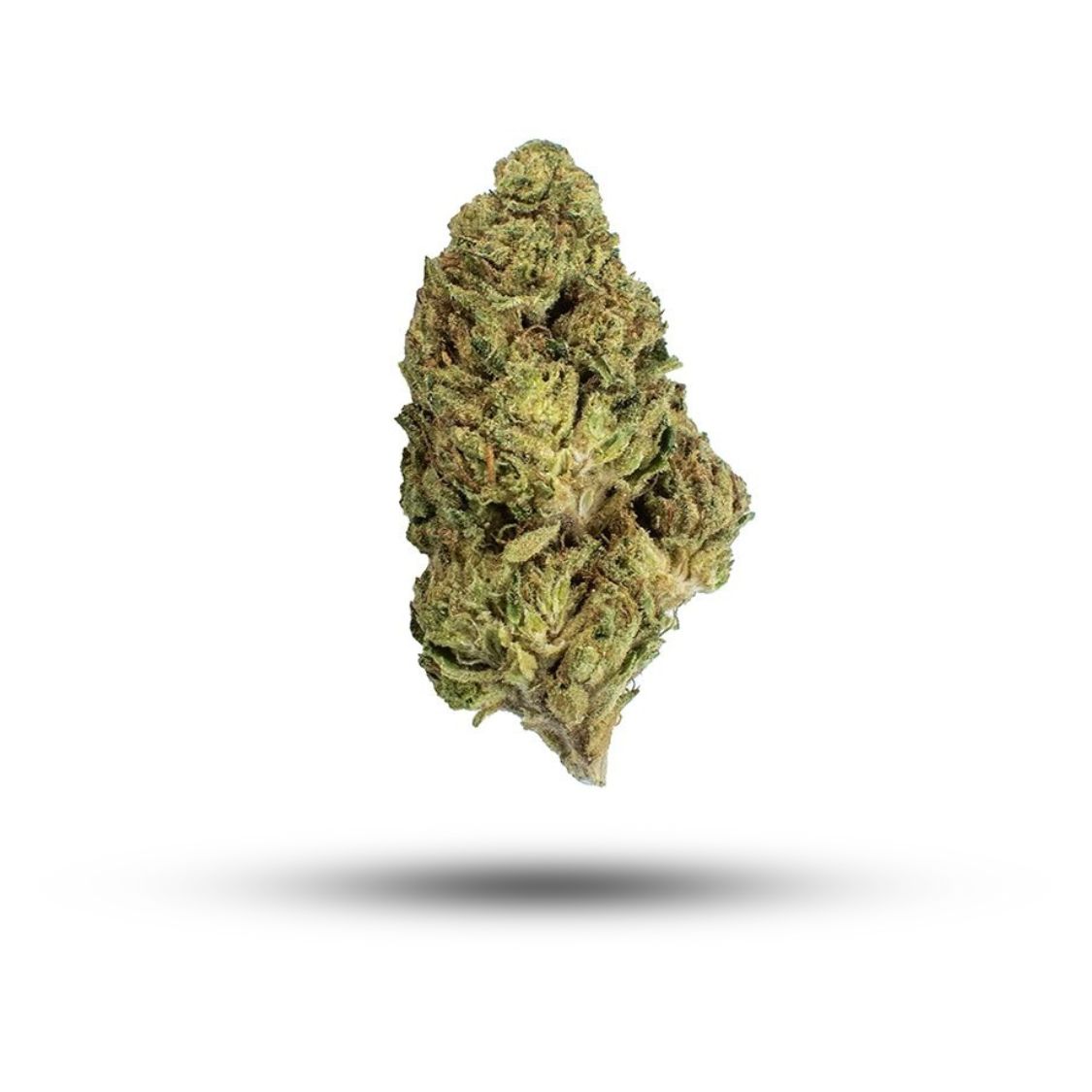 GMO X G41 GELATO 41 FLOWER HYBRID 28.16%