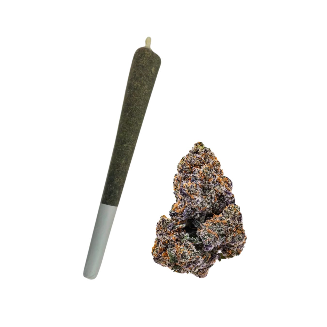 COAST 1G PREROLL- LEMON CHERRY GELATO- HYBRID-  24.57%