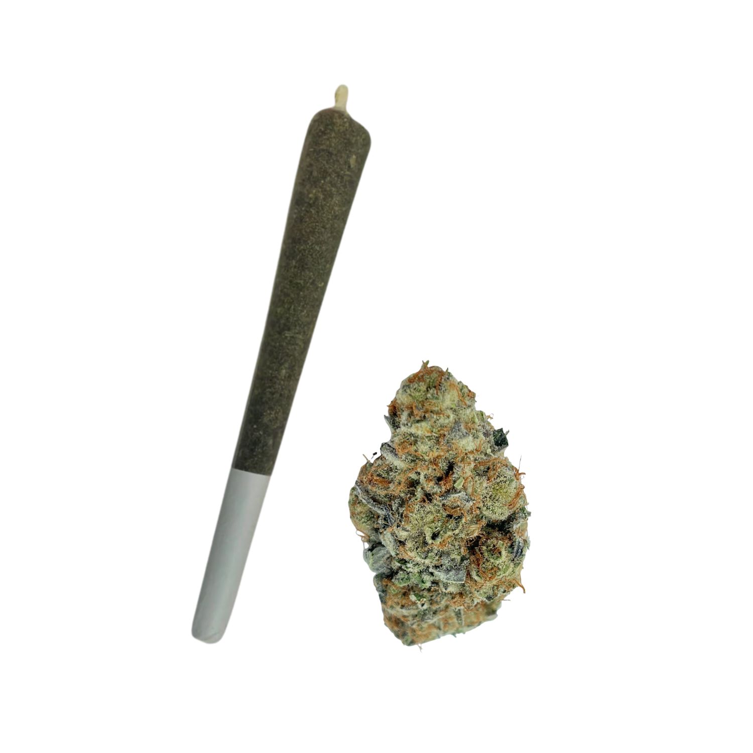COAST 1G PREROLL- LA RUNTZ- INDICA 24.57%