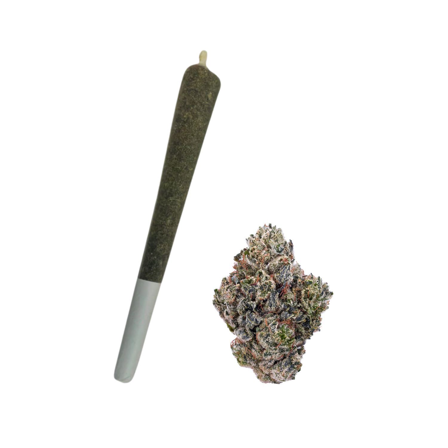COAST 1G PREROLL- GORILLA GLUE #4- SATIVA 24.51%