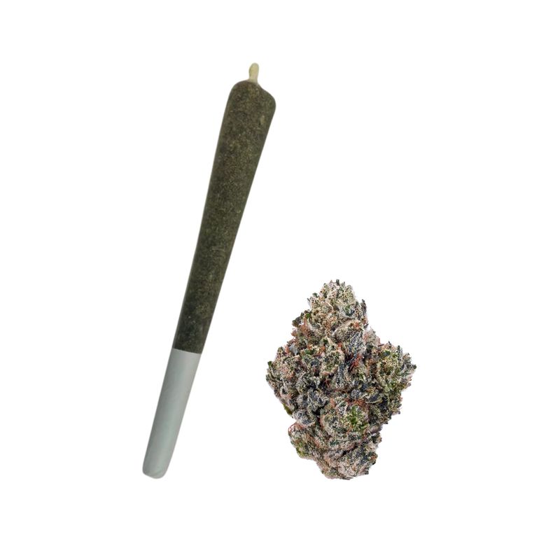 COAST 1G PREROLL- GORILLA GLUE #4- SATIVA 24.51%