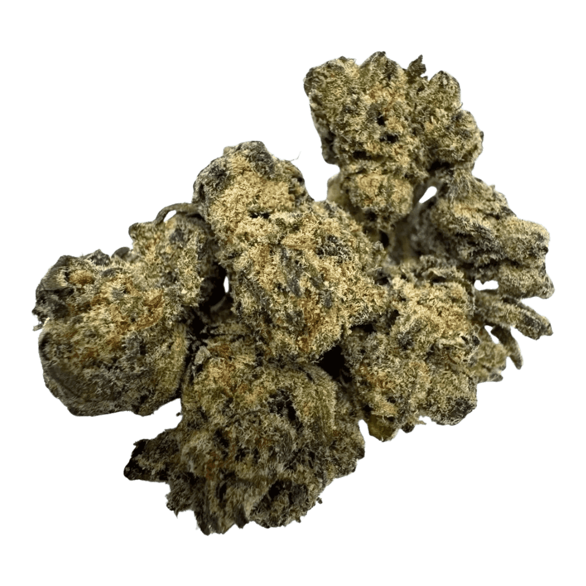 NOHO GELATO FLOWER -HYBRID 22.32%