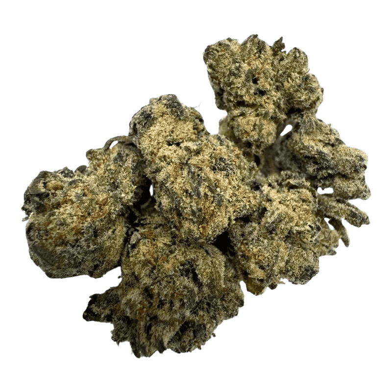 NOHO GELATO FLOWER -HYBRID 22.32%