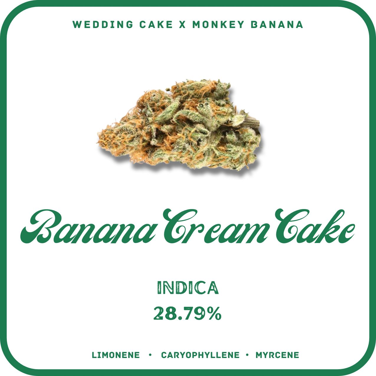 BANANA CREAM CAKE FLOWER- INDICA 28.79%