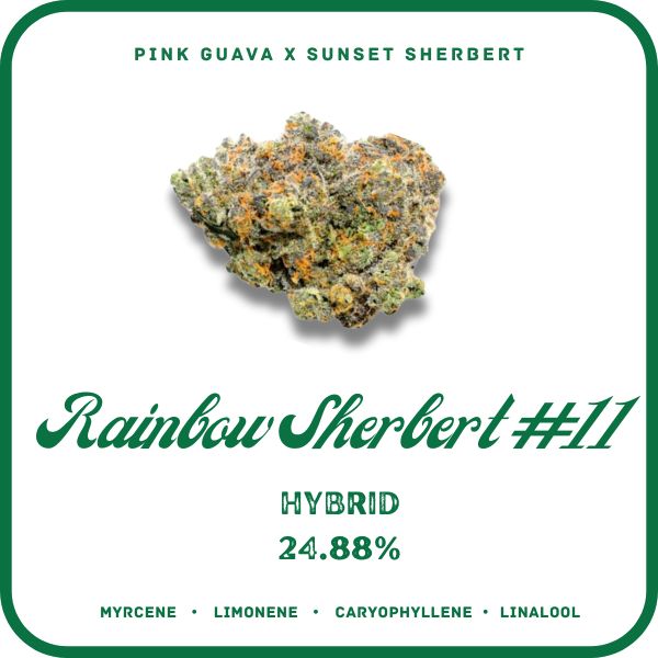 RS11- Hybrid 24.88%