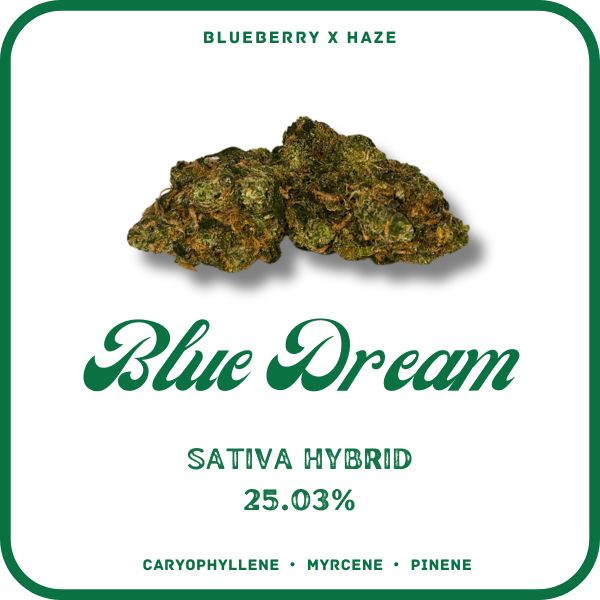 BLUE DREAM FLOWER SATIVA 25.03%