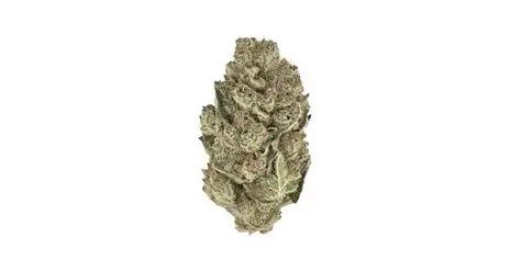 GRAPE CREAM CAKE FLOWER- INDICA 34.65% GRAPE CREAM CAKE FLOWER- INDICA 34.65%