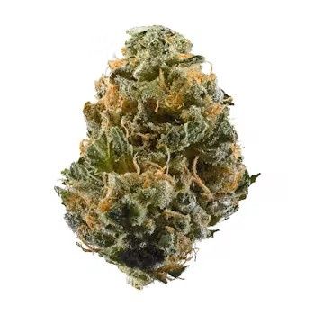 KNIGHTS TEMPLAR OG FLOWER-INDICA 24.94%