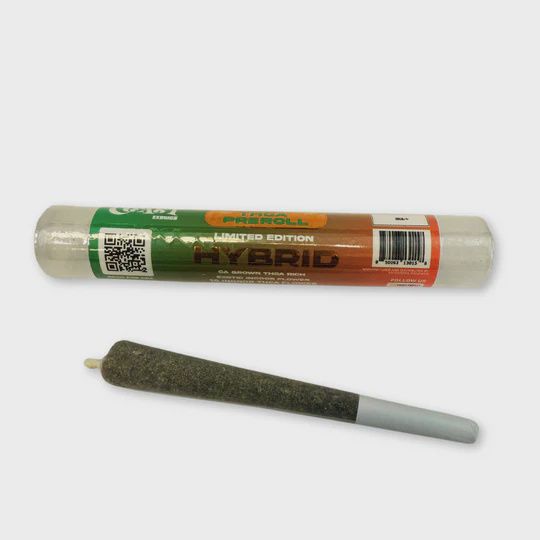 COAST 1G HYBRID PREROLL-22.36%