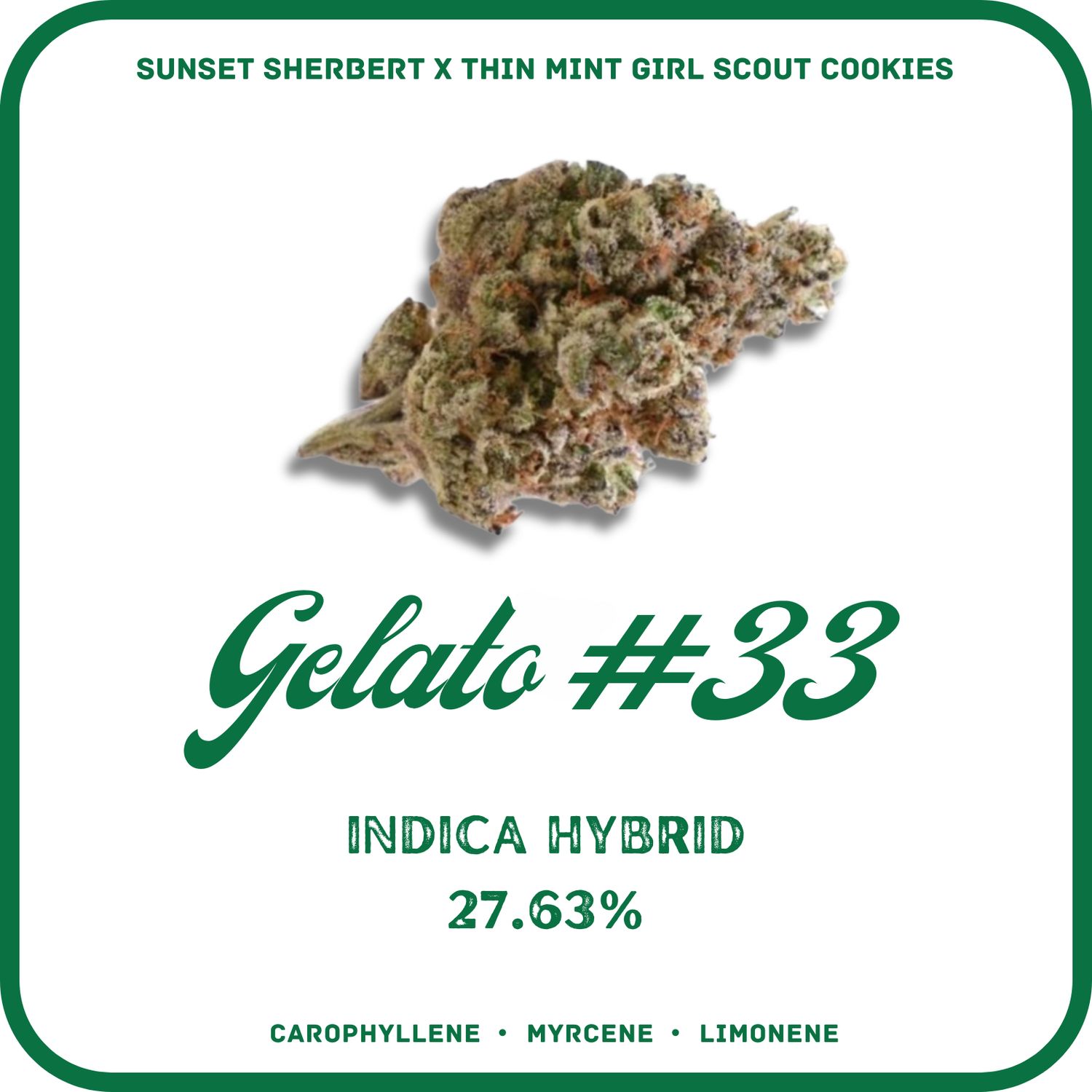 GELATO #33- G33 FLOWER- INDICA HYBRID 27.63%