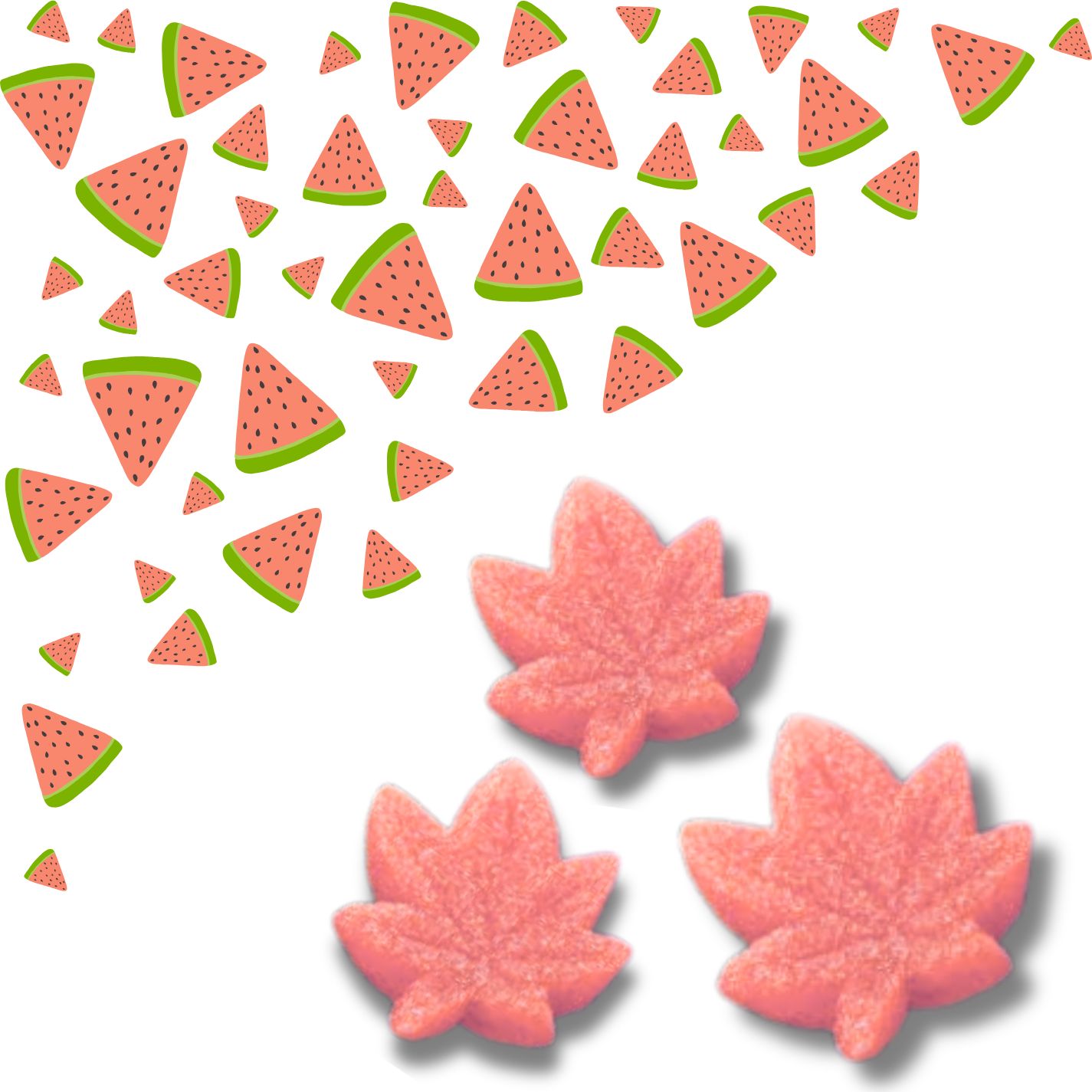 10MG LEAF SHAPED GUMMIES WATERMELON- 50 CT BAG