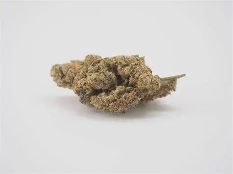 JELOUSY X KUSH MINTS FLOWER- INDICA 27.66%