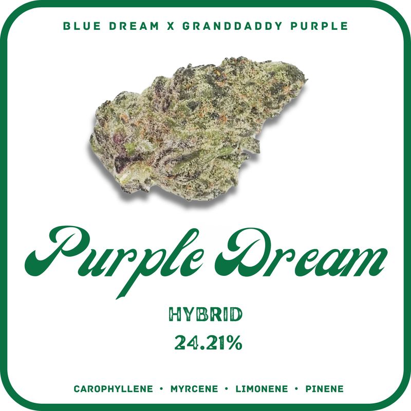PURPLE DREAM  THCA FLOWER- HYBRID 24.21%