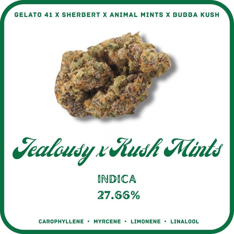 JEALOUSY X KUSH MINTS FLOWER- INDICA 27.66%