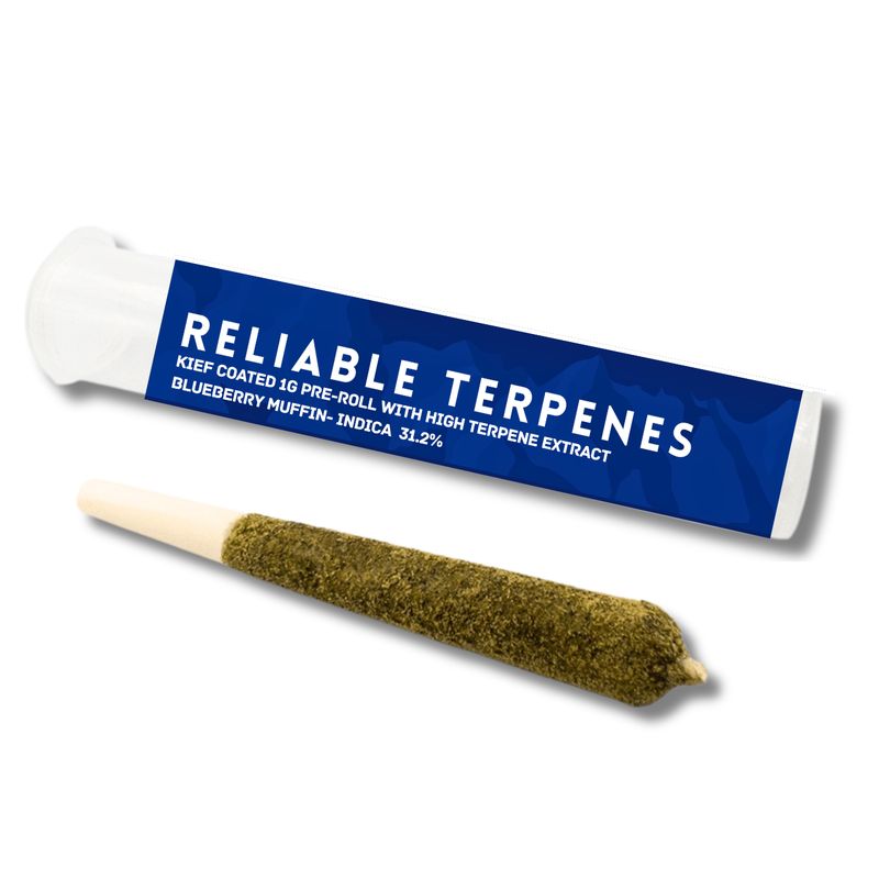 TERPENE INFUSED KIEF COATED 1G PREROLL -BLUEBERRY MUFFIN INDICA 31.2%