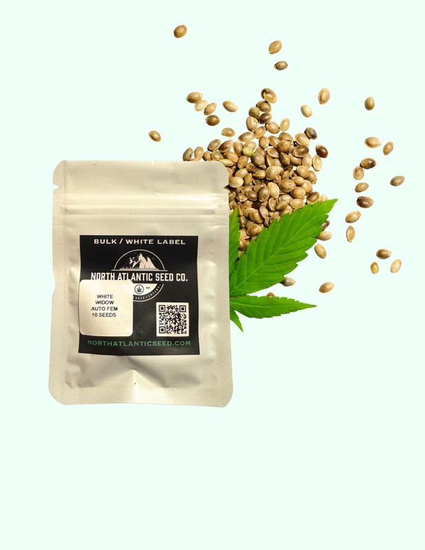 NORTH ATLANTIC SEED CO- WHITE WIDOW SEED- HYBRID AUTO FLOWERING/ FEMINIZED