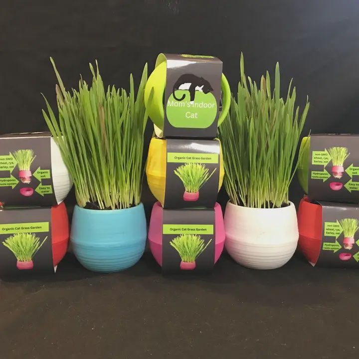 CAT GRASS GARDEN BALLS