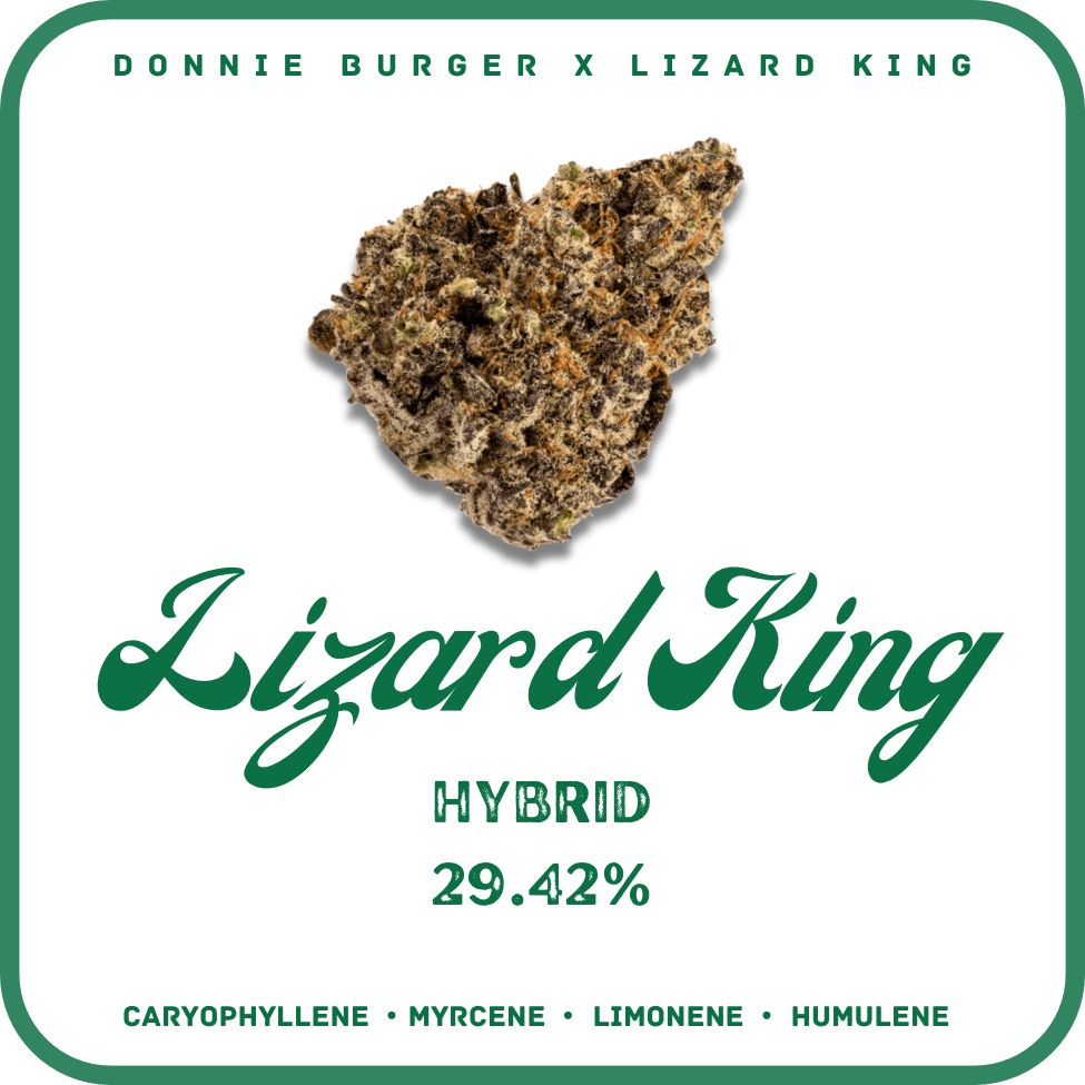 LIZARD BURGER FLOWER- 29.42%  HYBRID