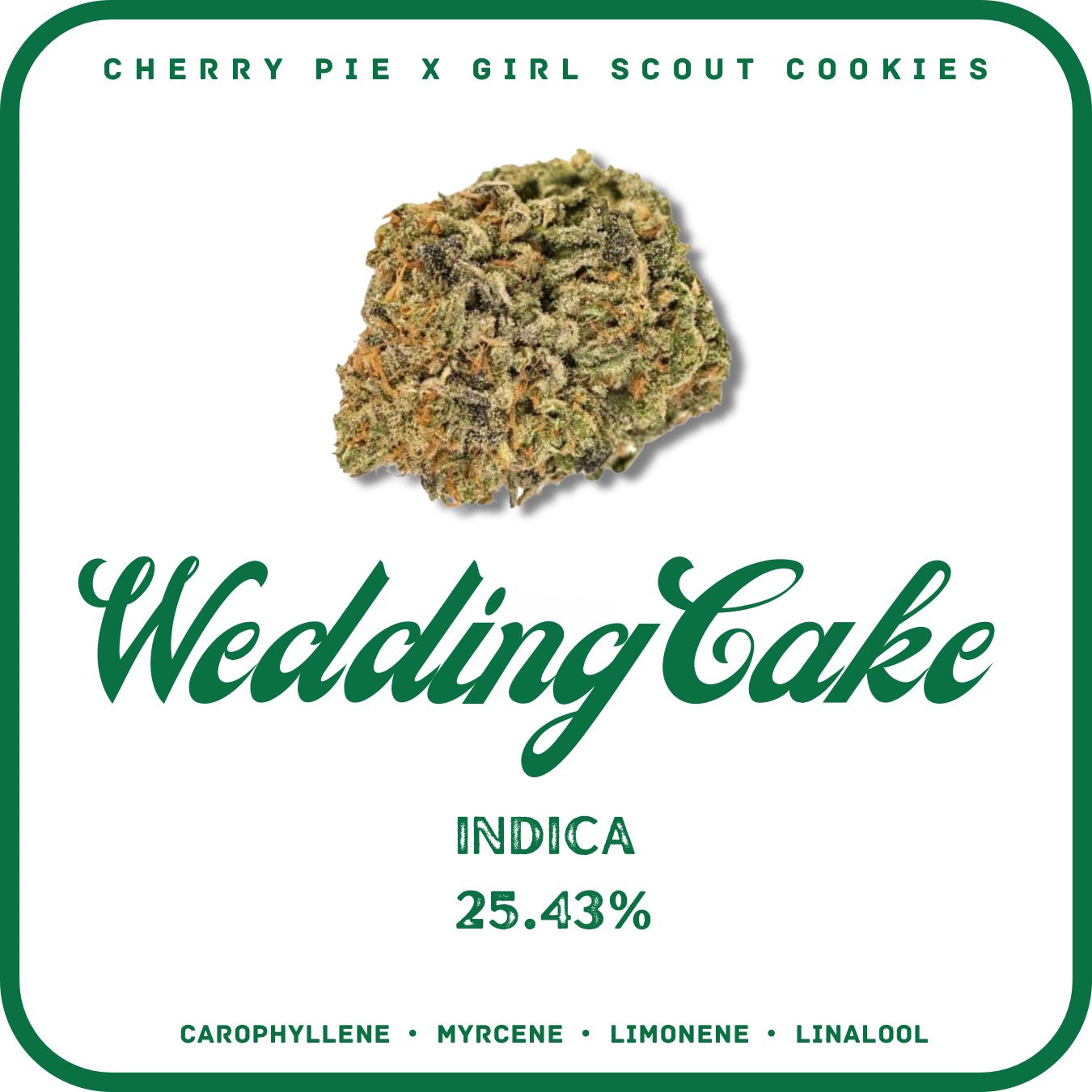 WEDDING CAKE FLOWER INDICA 25.43%