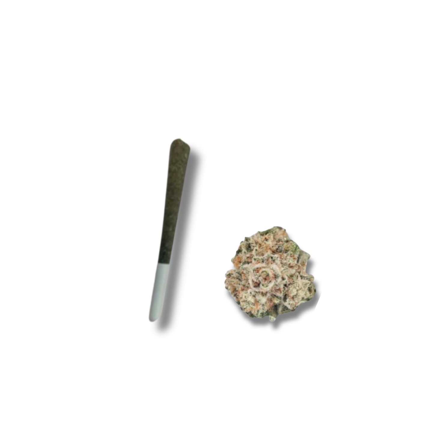 GORILLA GLUE 1G PREROLL- SATIVA 24.51%