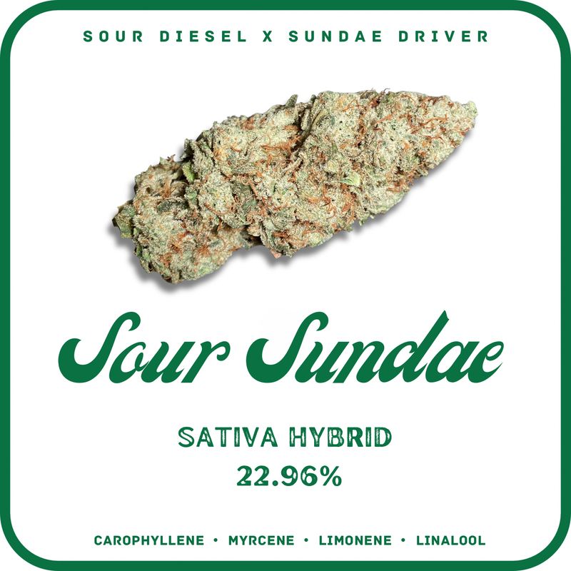 SOUR SUNDAE FLOWER-HYBRID 22.96%