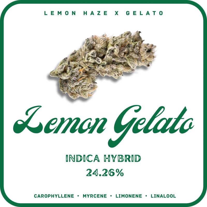 LEMON GELATO FLOWER- INDICA HYBRID 24.26%