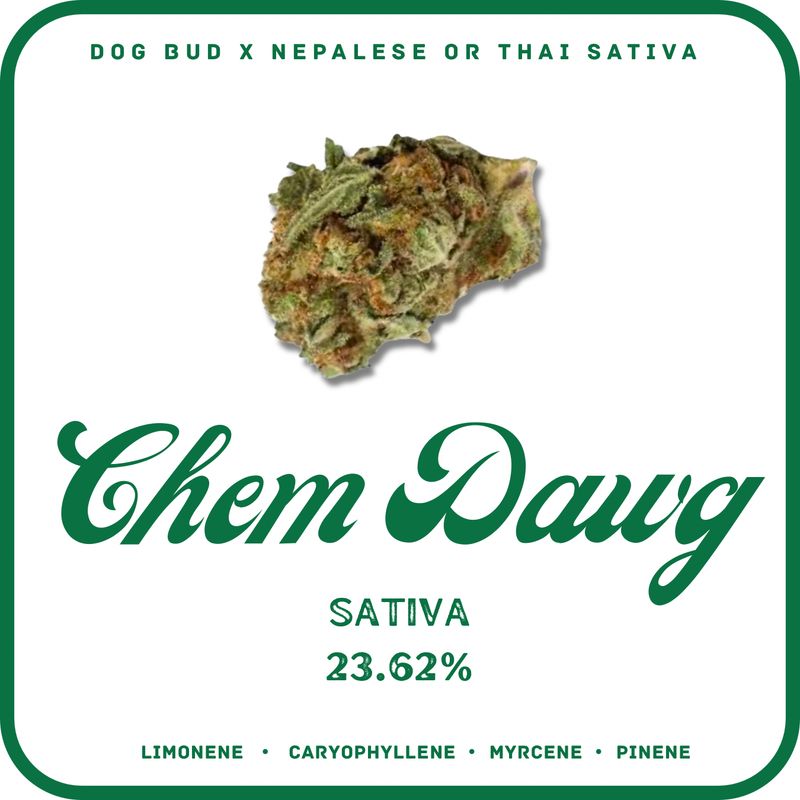 CHEM DAWG FLOWER- SATIVA 23.62%