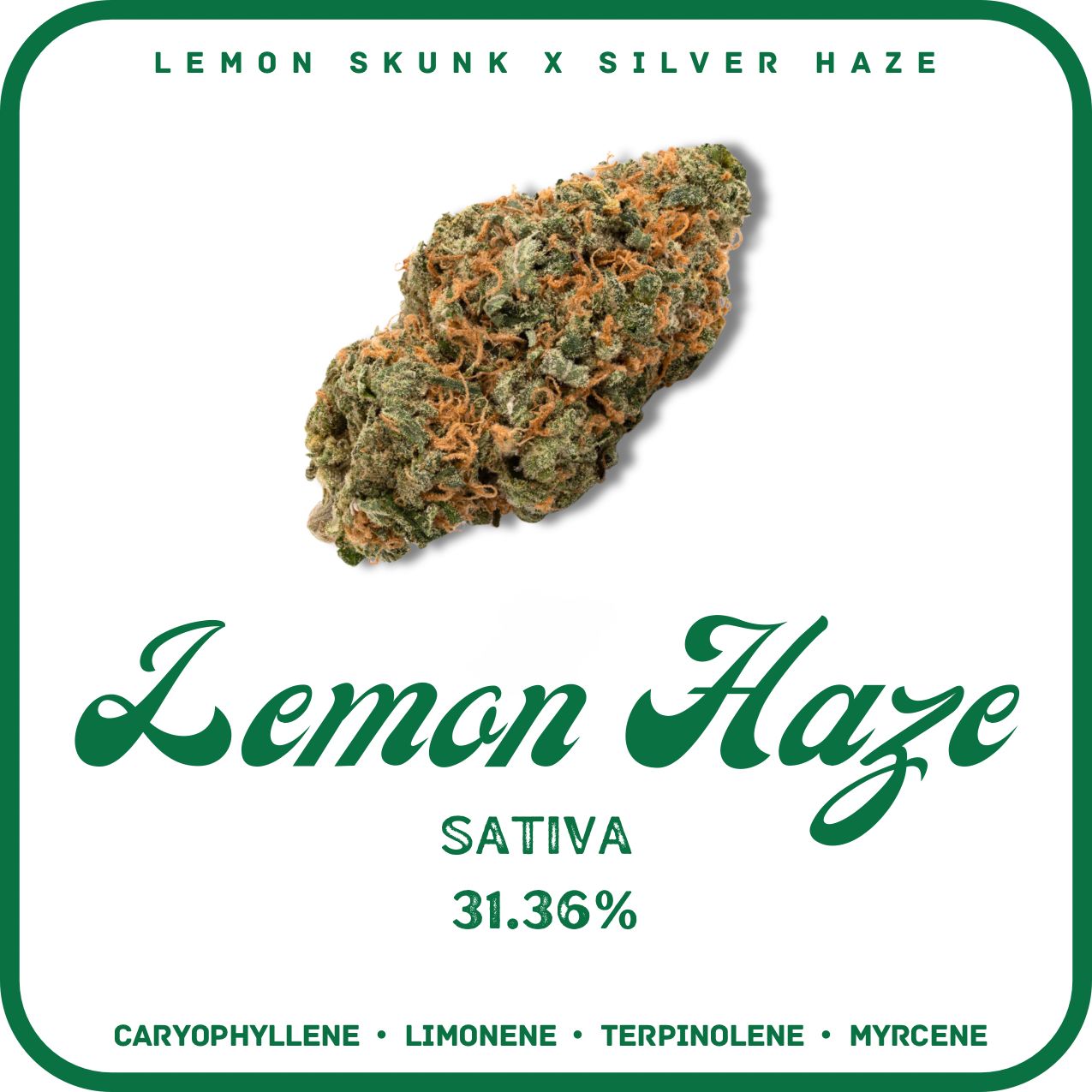 LEMON HAZE FLOWER- SATIVA 31.36%