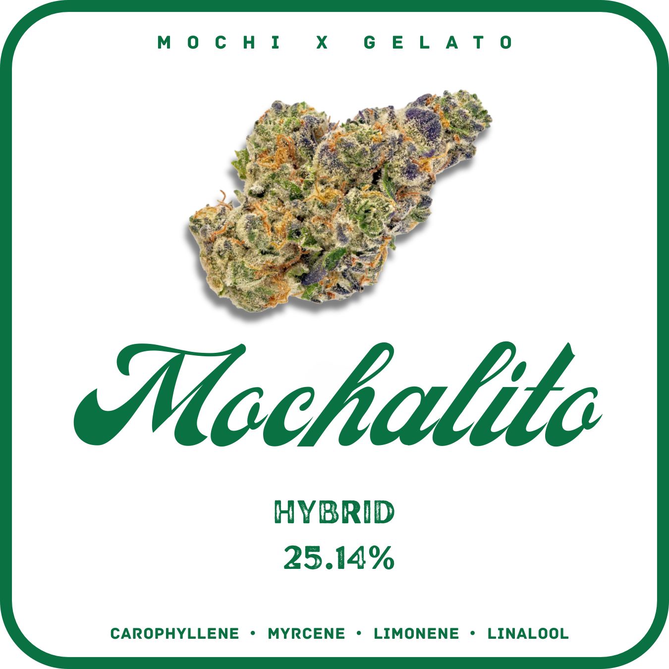 MOCHILATO FLOWER- HYBRID 25.14%