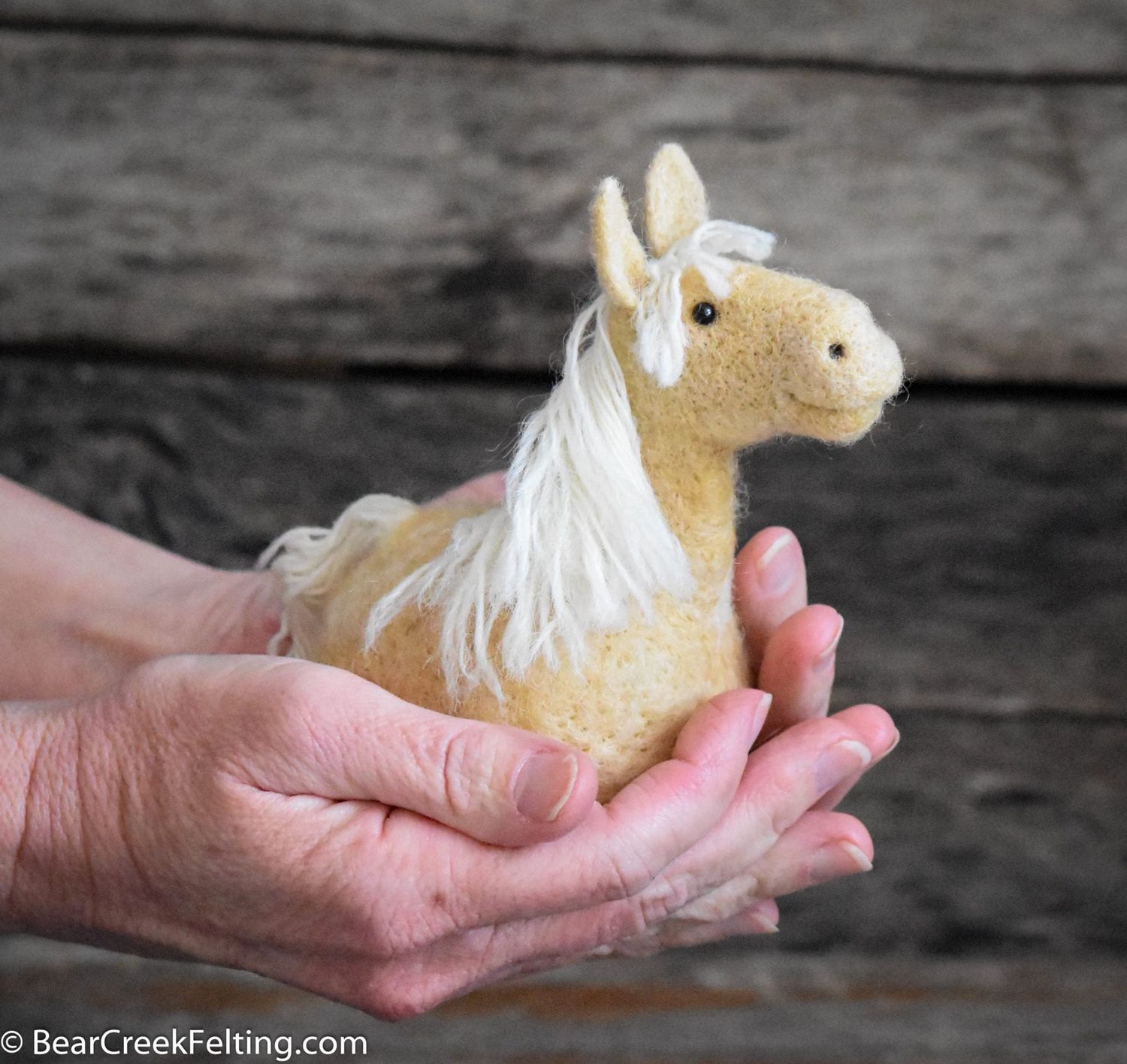 Horse Needle Felting Kit (Beginner)