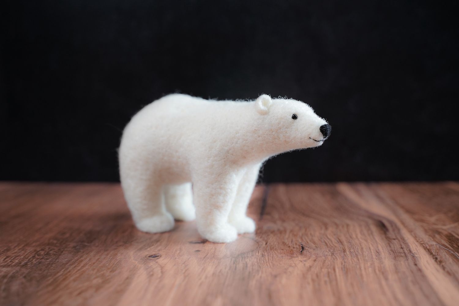 Polar Bear Kit